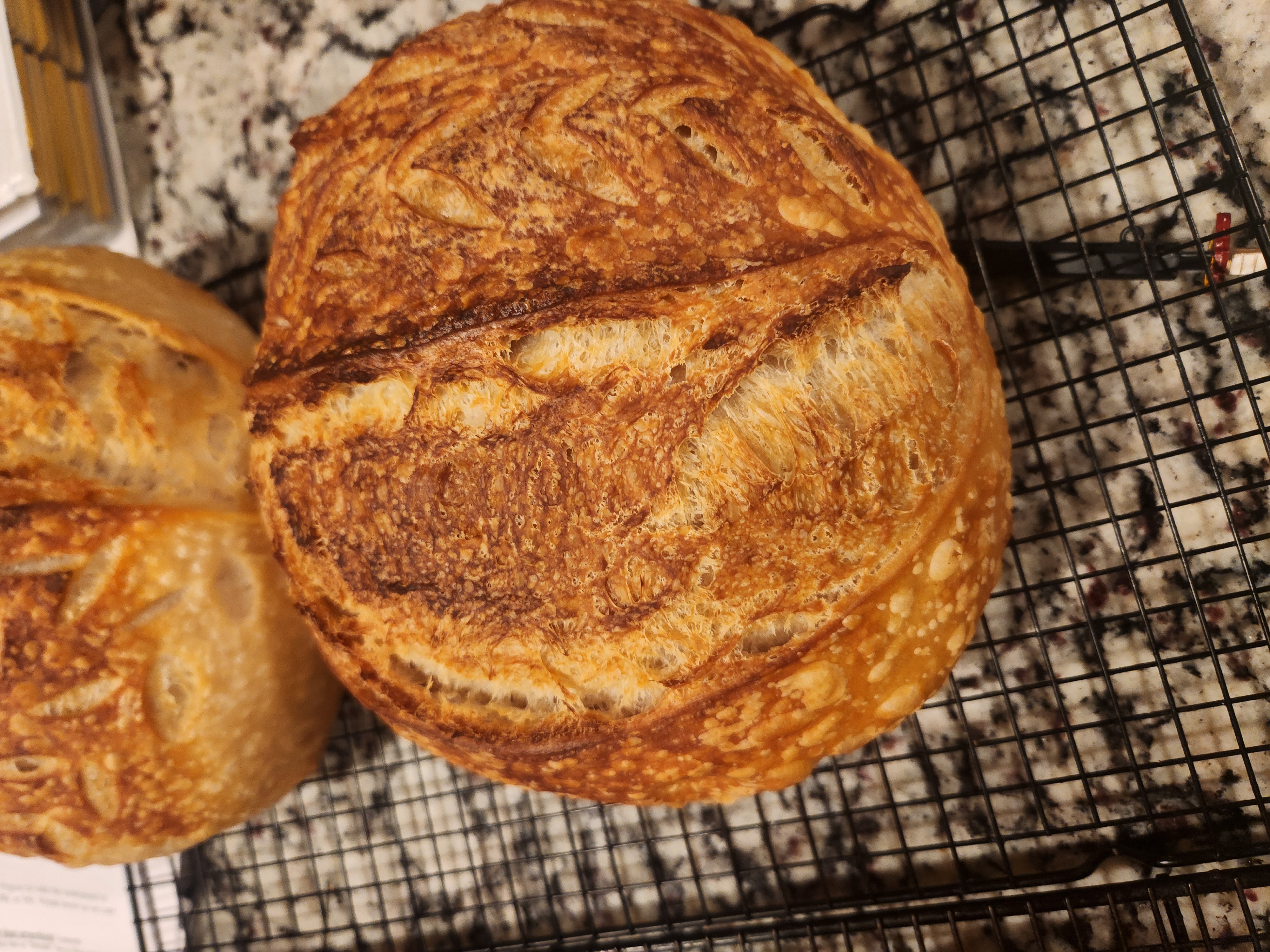 Signature Sourdough