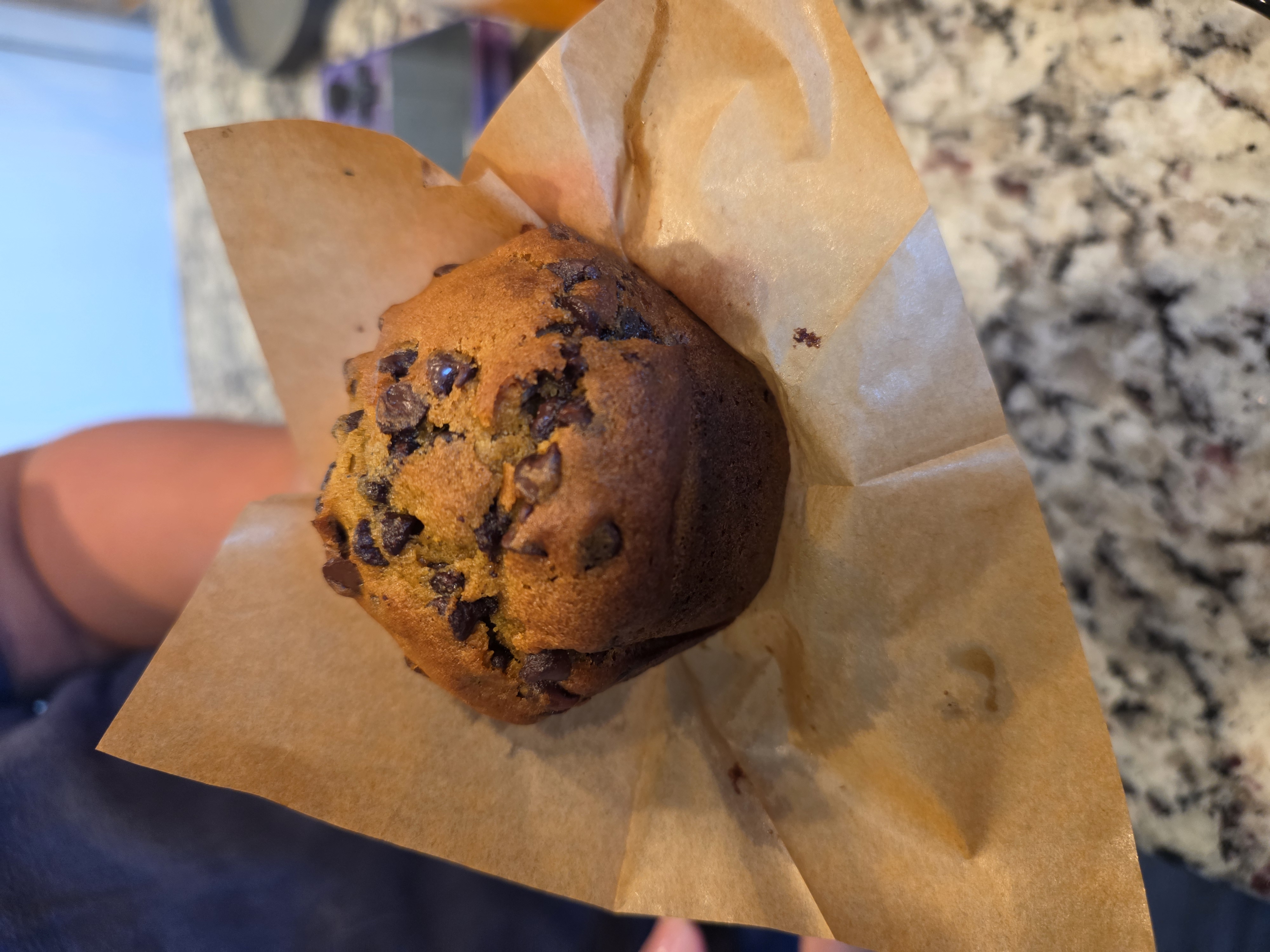 Pumpkin Chocolate Chip Muffins (4-pack)