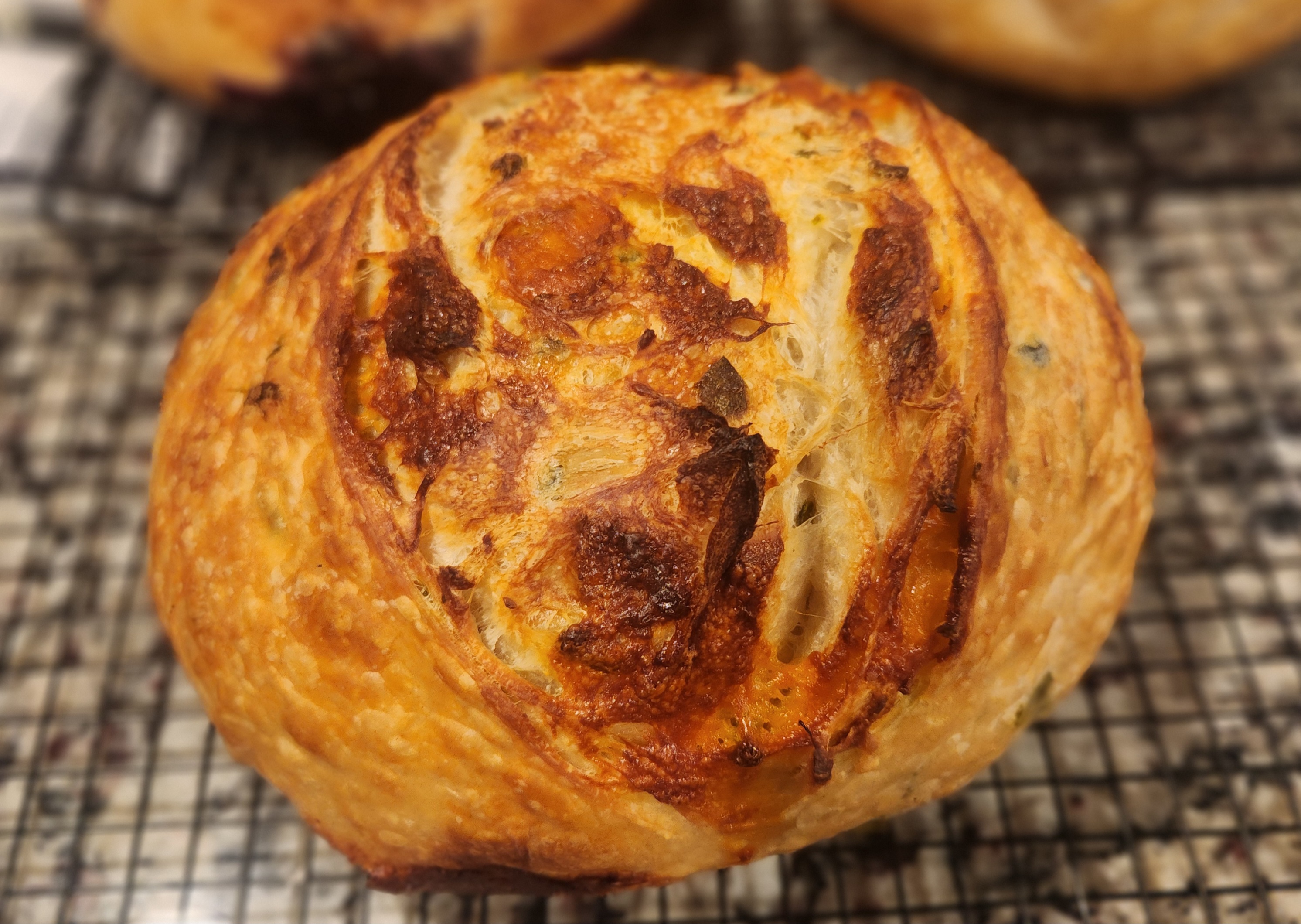 Cheddar Jalapeño Sourdough