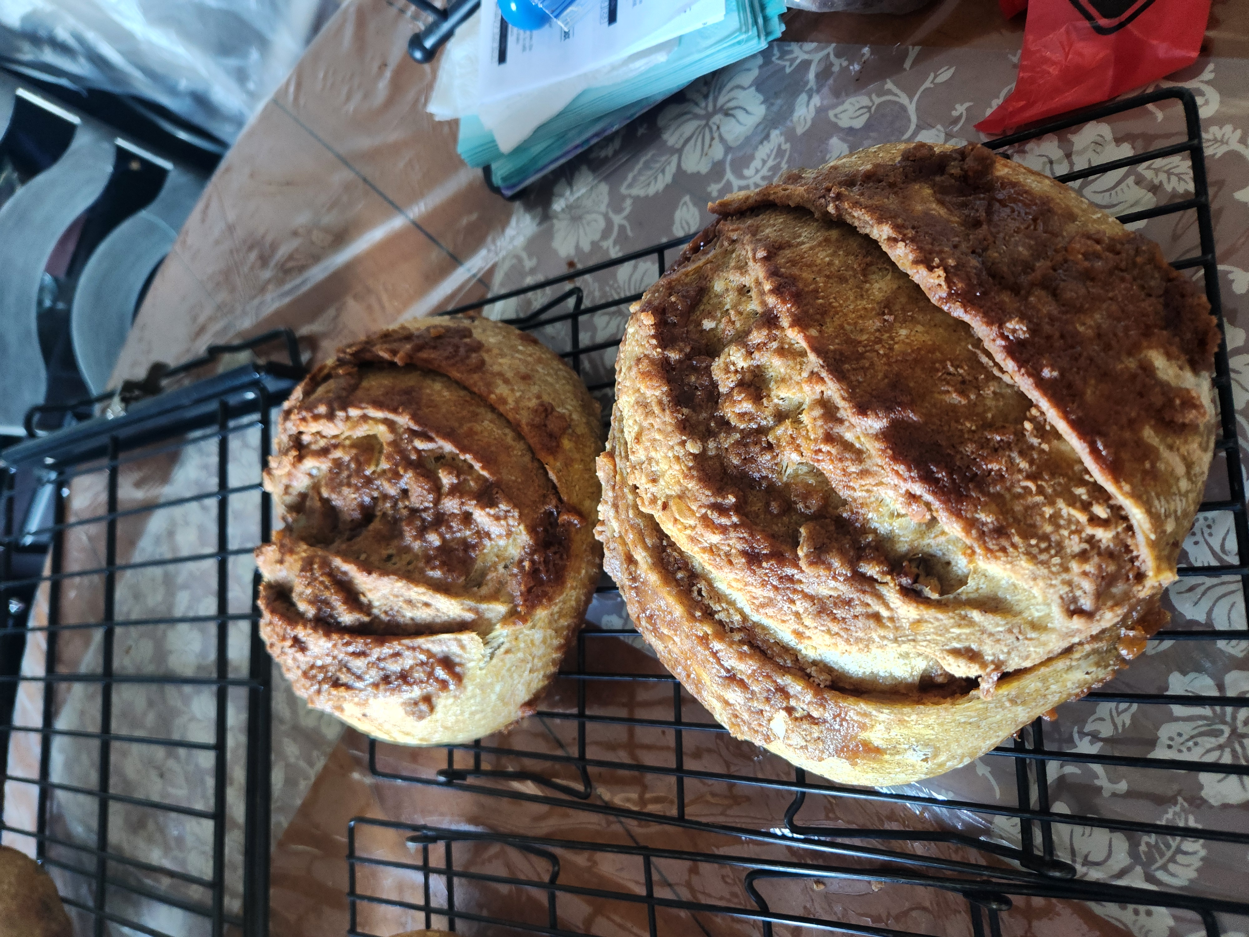 Pumpkin Pecan Sourdough